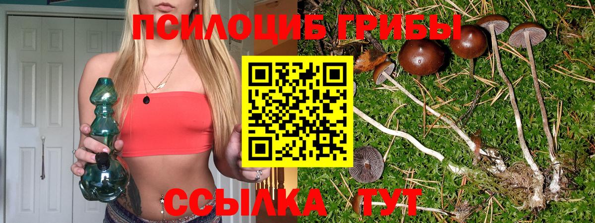 Галлюциногенные грибы GOLDEN TEACHER Глазов