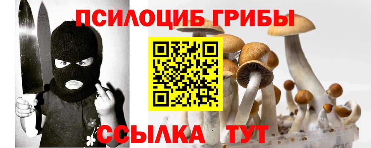 Псилоцибиновые грибы ЛСД  сколько стоит  Псилоцибиновые грибы прущие грибы  Глазов  Вход с VPN 